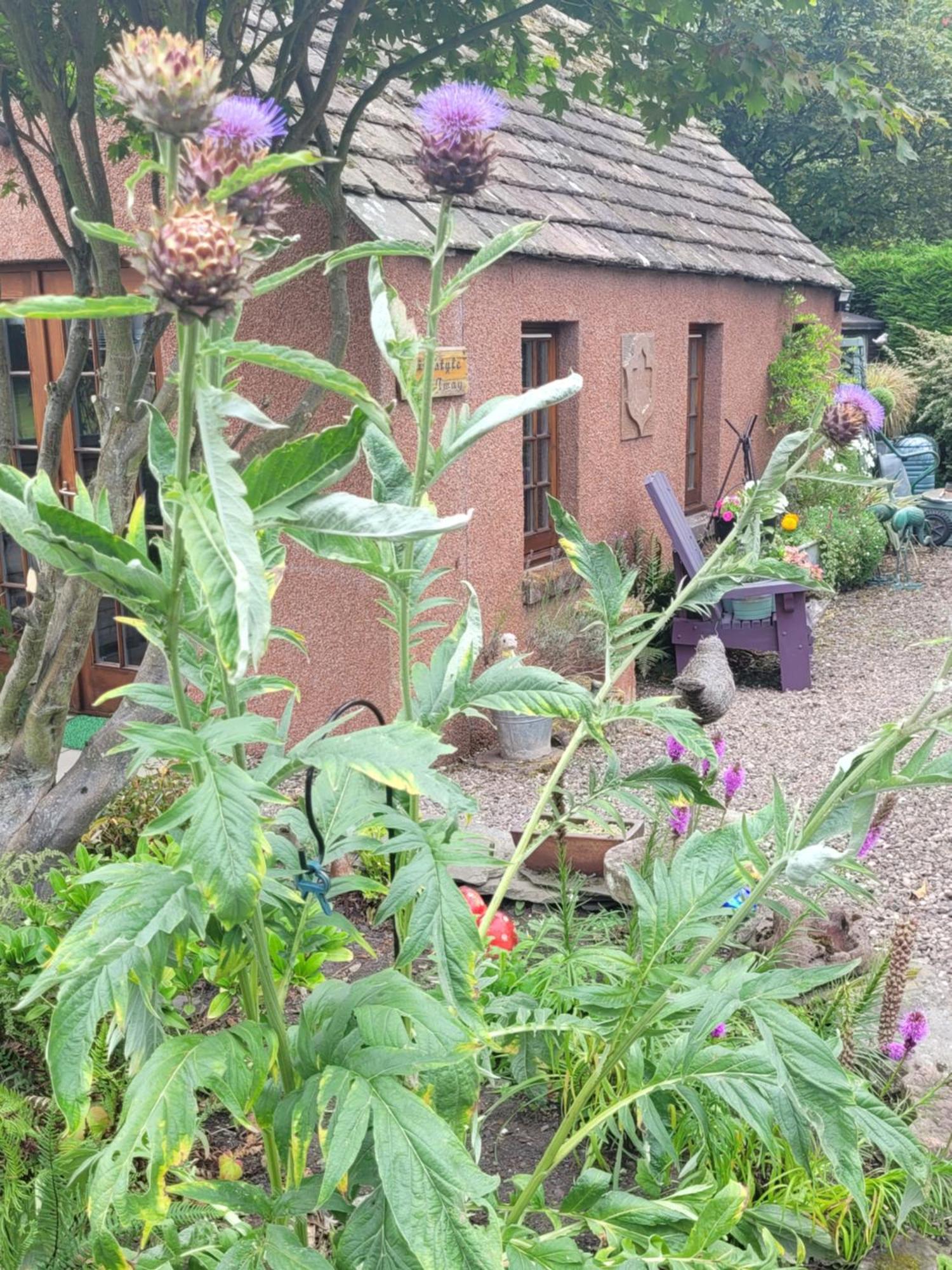 Bed and Breakfast Kirkstyle Hideaway Arbroath Zewnętrze zdjęcie